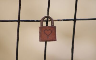 Why a blog? Why now?